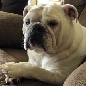 Meet your Posher, Ray